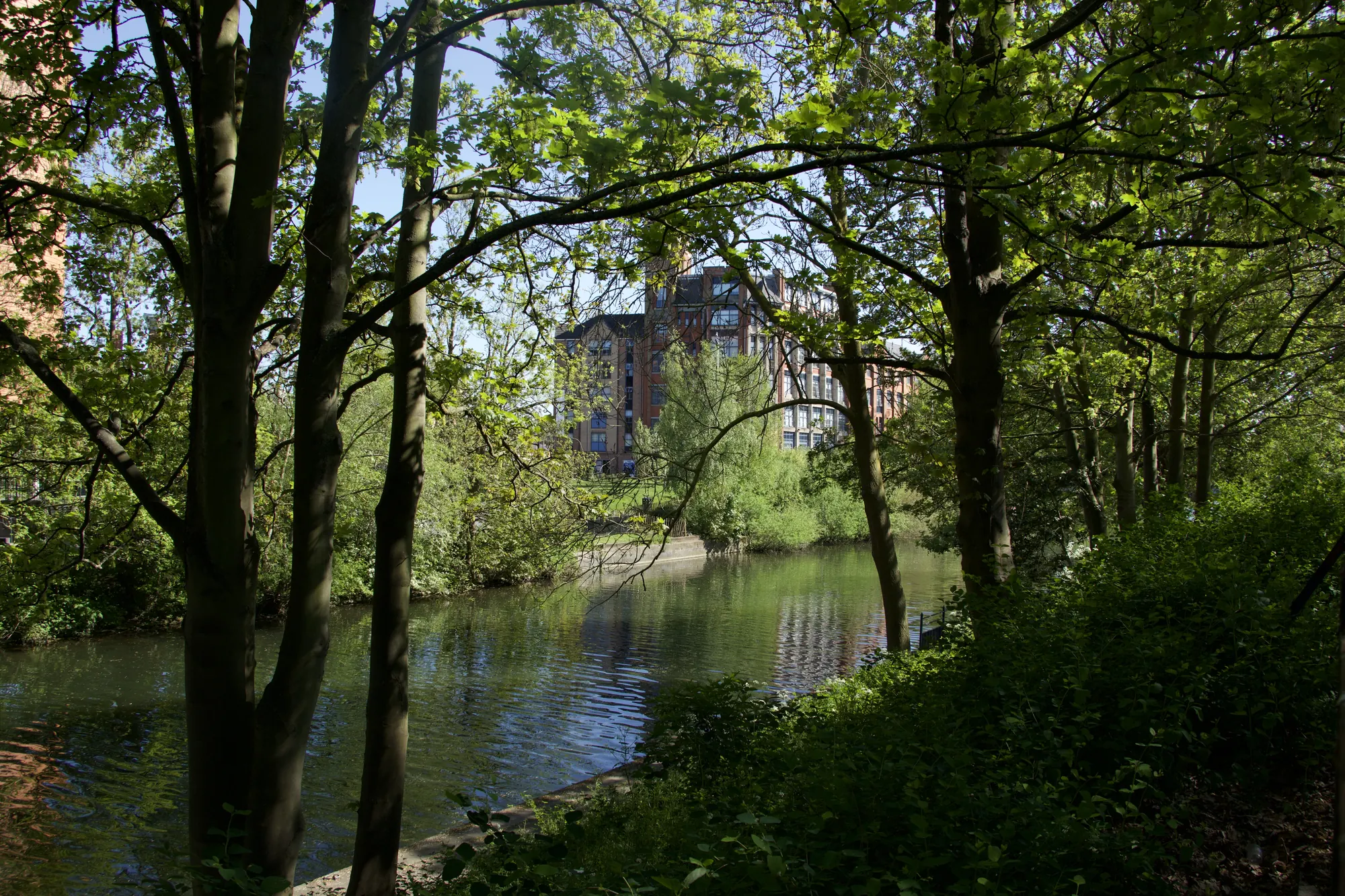 River Bank